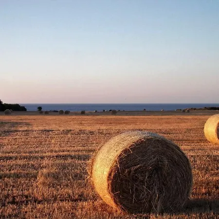 Masseria Di Benedetto شقة *