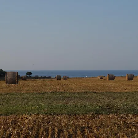 Masseria Di Benedetto * أوستوني