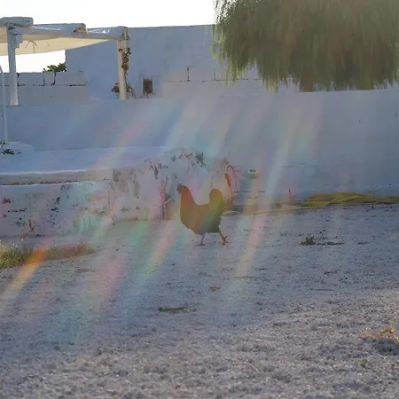 Masseria Di Benedetto شقة