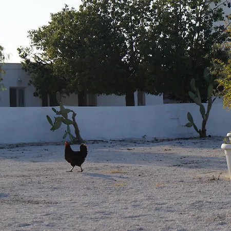 Masseria Di Benedetto *